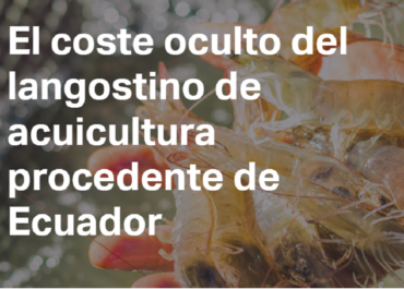 El coste oculto del langostino de acuicultura procedente del Ecuador