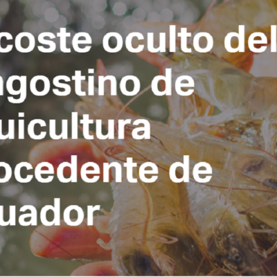 El coste oculto del langostino de acuicultura procedente de Ecuador