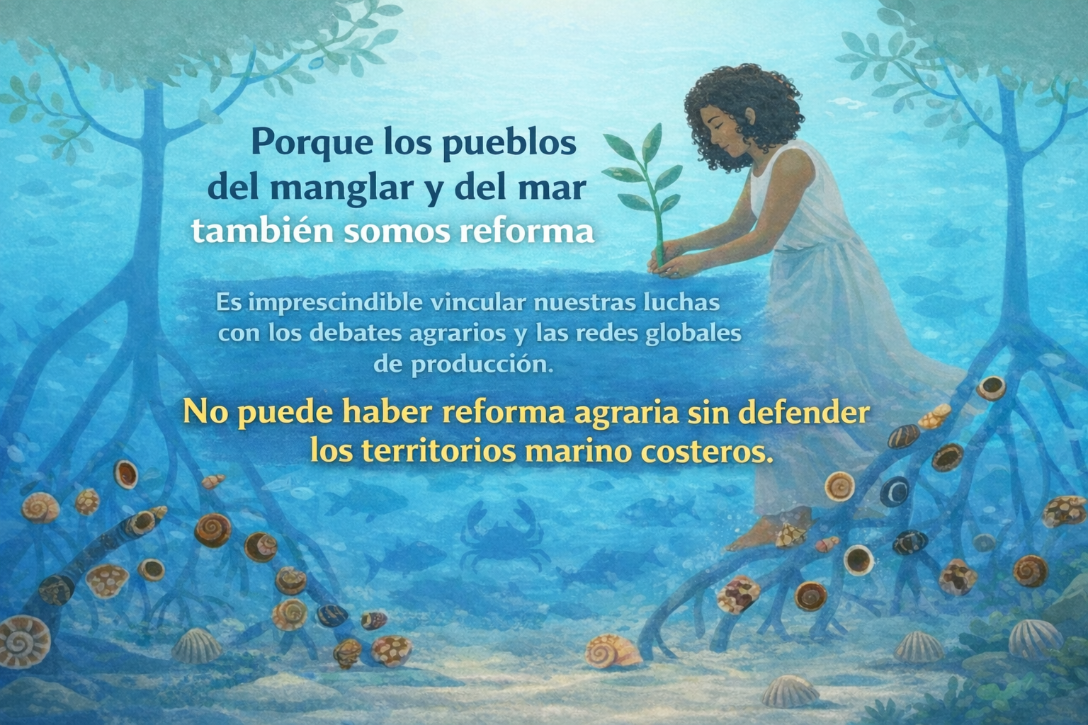 Red Manglar Internacional, Nota Informativa 0003/2026