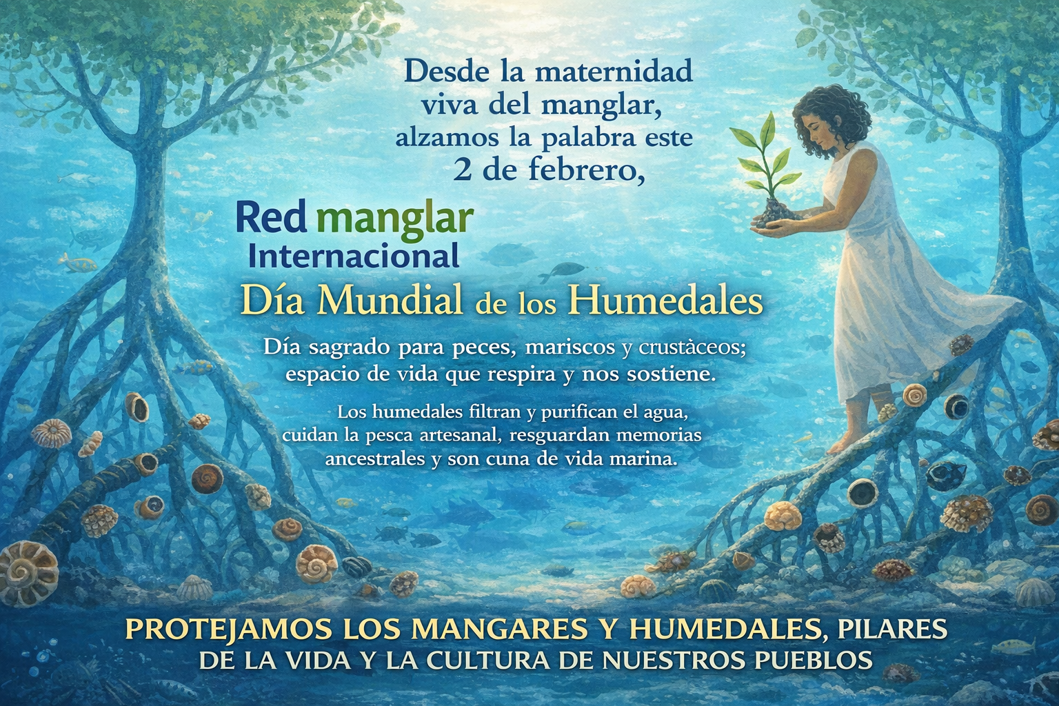 Red Manglar Internacional, Nota Informativa 0001/2026