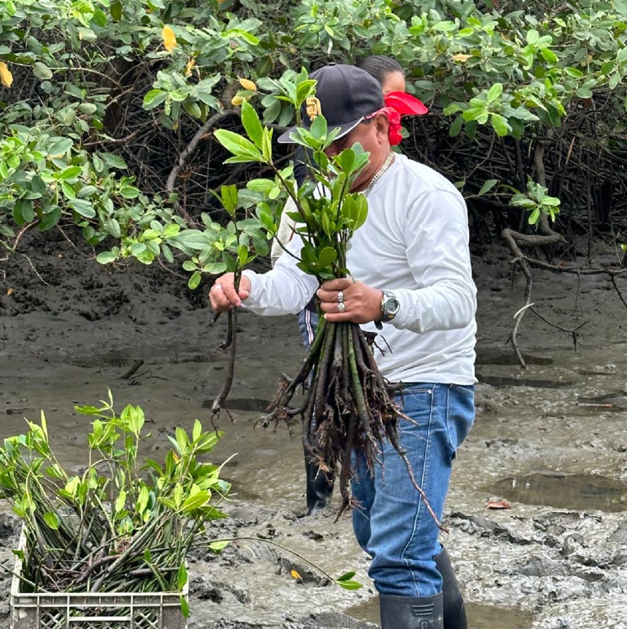 Restauracion socioecologica 4 plantando ccondem4